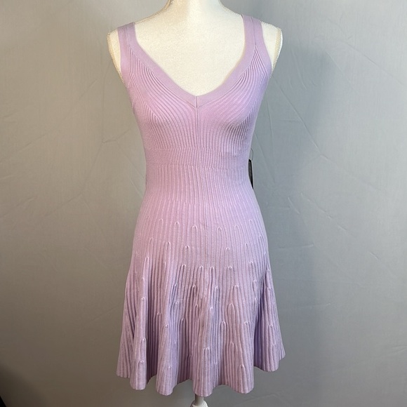 NWT Express Lavender Fit & Flared Ribbed Sweater Dress Size Small - Picture 1 of 9